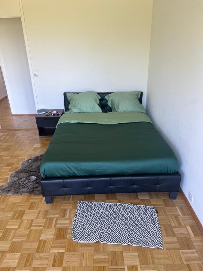 Apartmán La Marina Appart Ženeva Exteriér fotografie